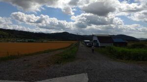 山から見下ろす田園風景