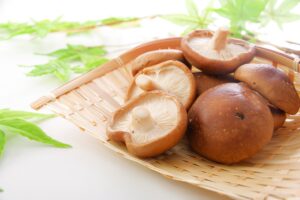 生シイタケ