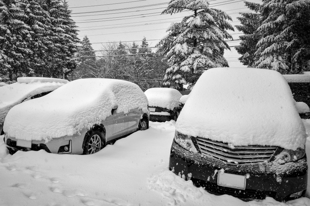 雪日照りの次は大雪で試される大地